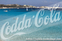 codda-cola3.jpg